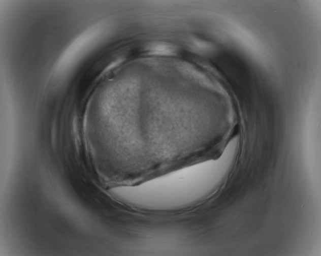 X0000085291487200703301927