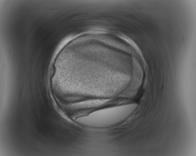 X0000085291488200703301927