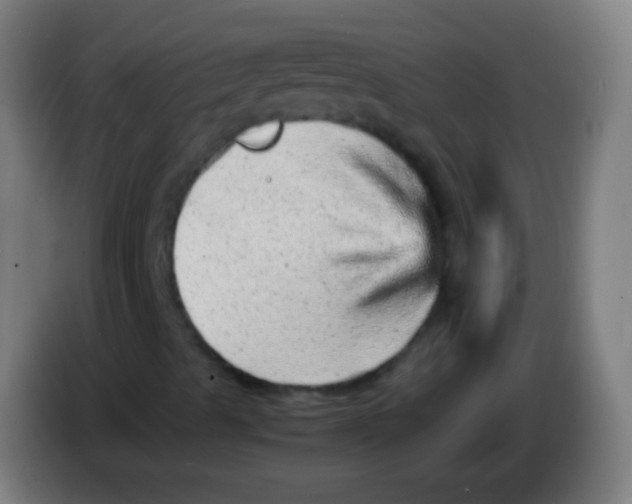 X0000085291489200703301926