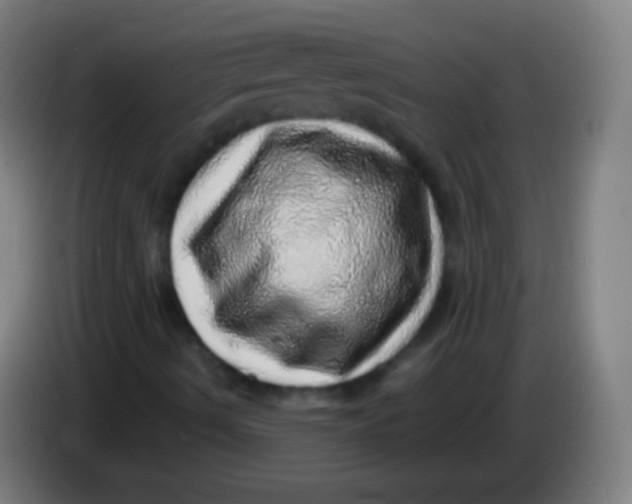 X0000085291490200703301926