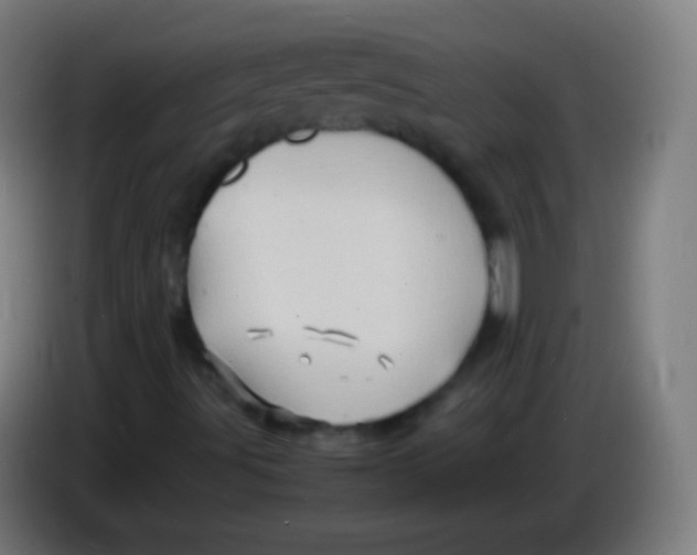 X0000085291491200703301926