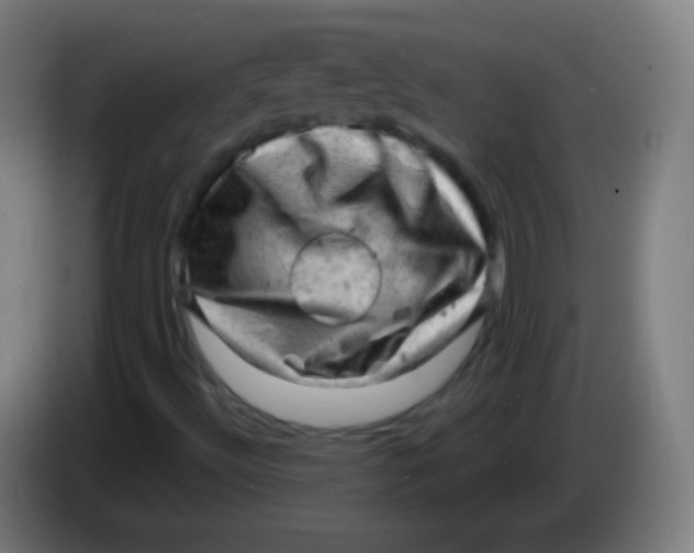 X0000085291492200703301926