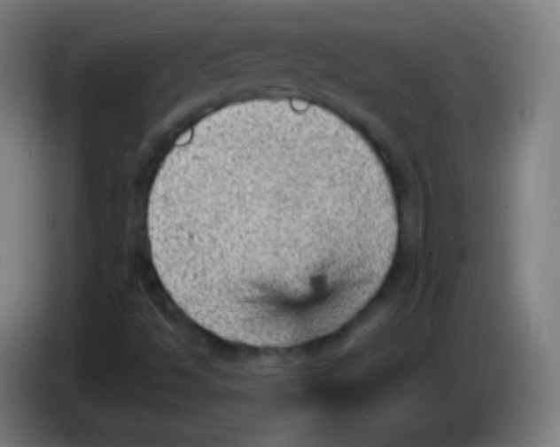 X0000085291494200703301926