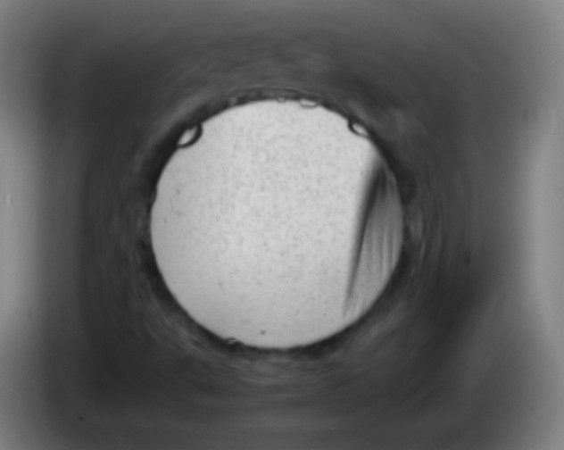 X0000085291495200703301926