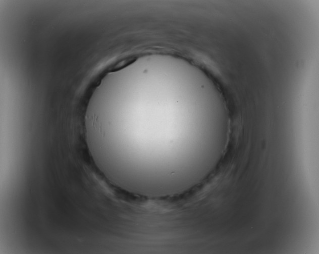X0000085291496200703301926