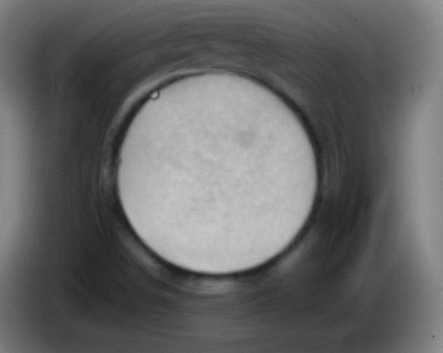 X0000085291498200703301926