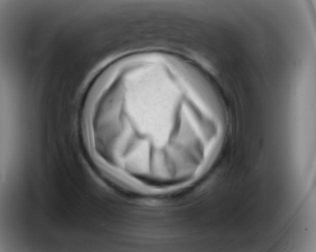 X0000085291500200703301926