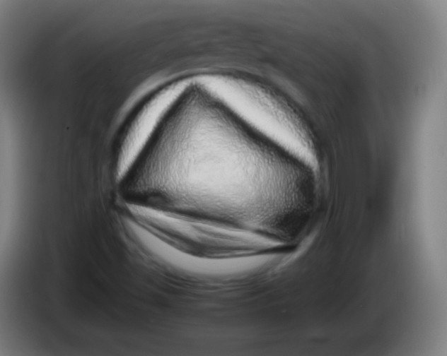 X0000085291501200703301926