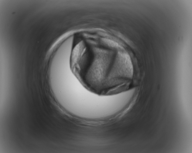 X0000085291502200703301926