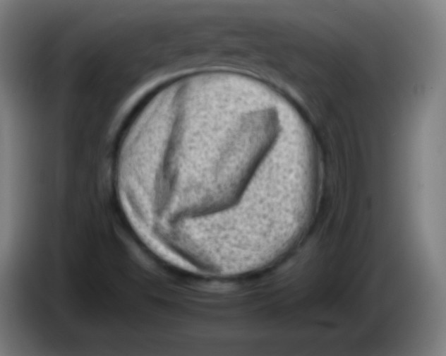 X0000085291503200703301926