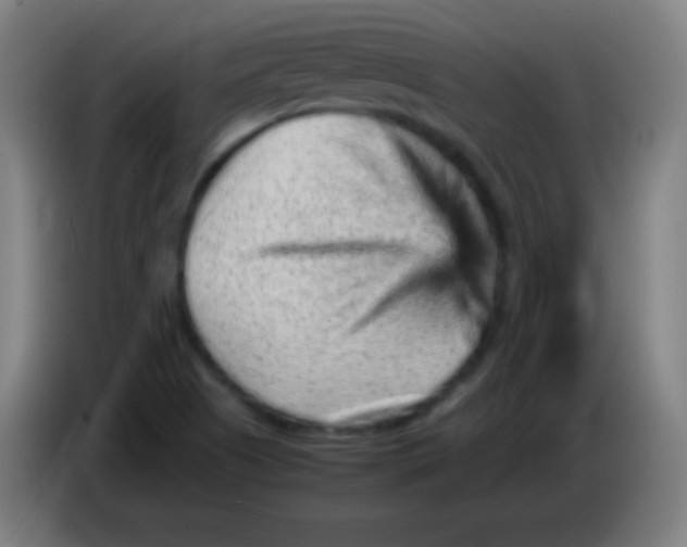 X0000085291505200703301926
