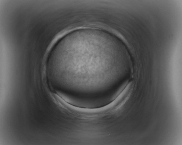 X0000085291506200703301926