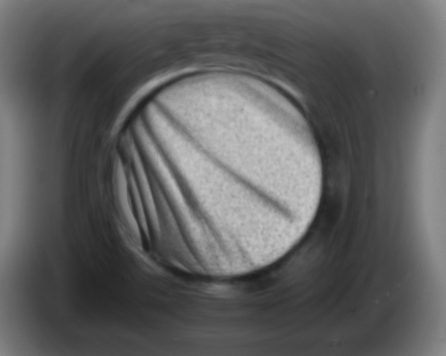 X0000085291507200703301926