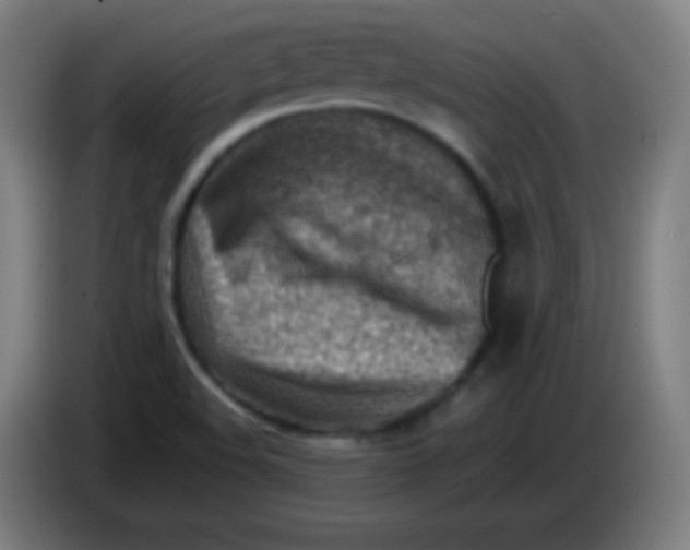X0000085291508200703301926