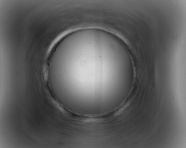 X0000085291510200703301926