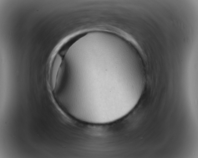 X0000085291512200703301926