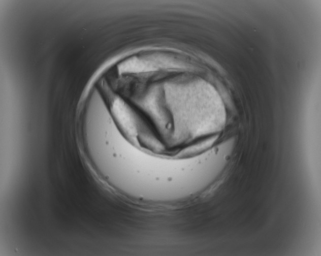 X0000085291514200703301926