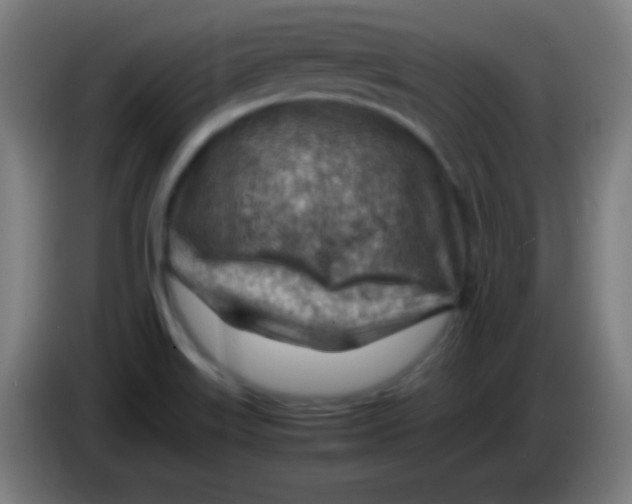 X0000085291515200703301926