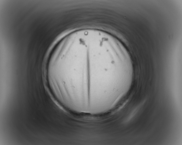 X0000085291517200703301926
