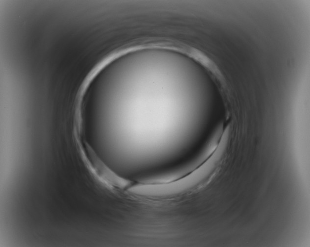 X0000085291520200703301926
