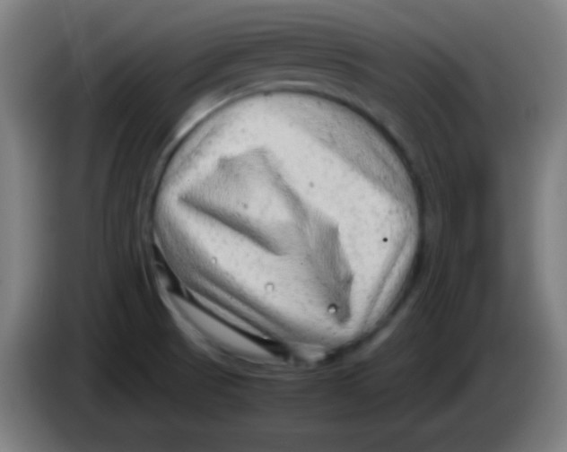 X0000085291521200703301926