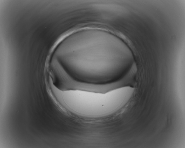 X0000085291522200703301926