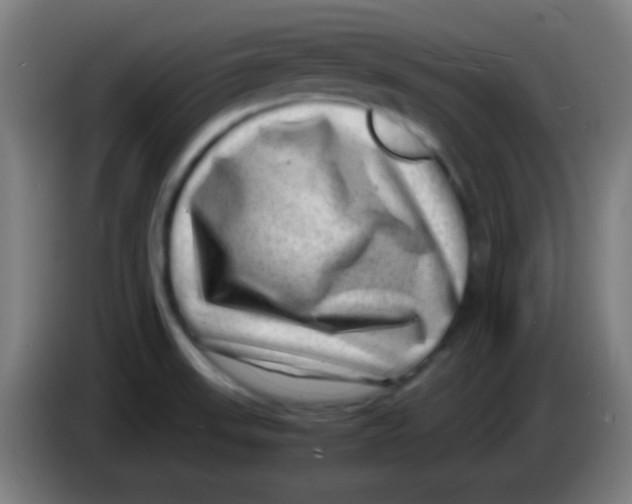 X0000085291523200703301926
