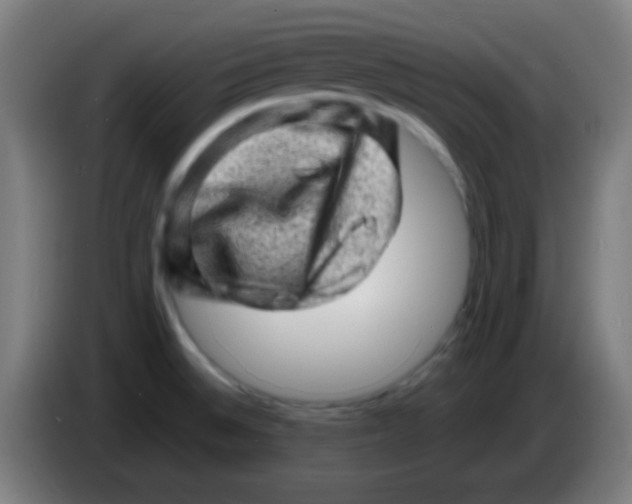 X0000085291524200703301926