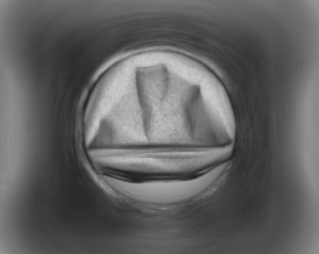 X0000085291526200703301927