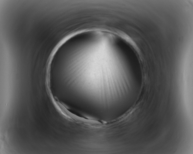 X0000085291528200703301927