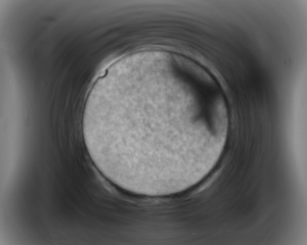 X0000085291529200703301927