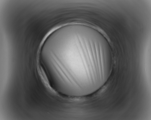 X0000085291530200703301927