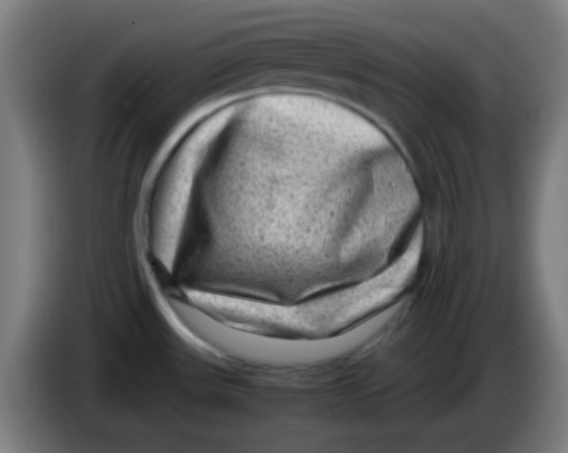 X0000085291531200703301927