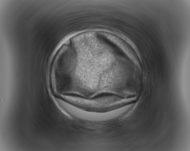 X0000085291533200703301927