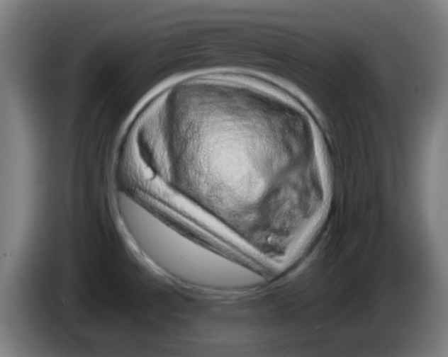 X0000085291534200703301927
