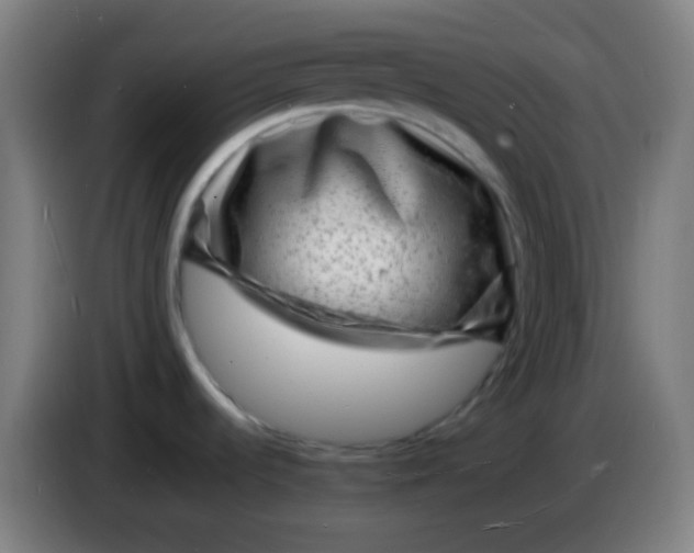 X0000085291536200703301927