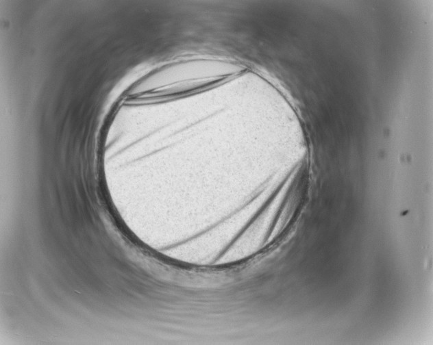 X0000085290008200704092244