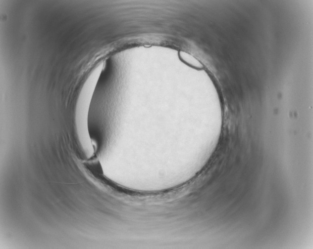 X0000085290013200704092244