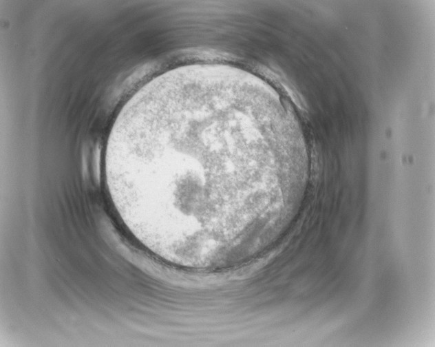 X0000085290014200704092244