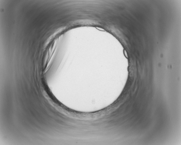 X0000085290015200704092244