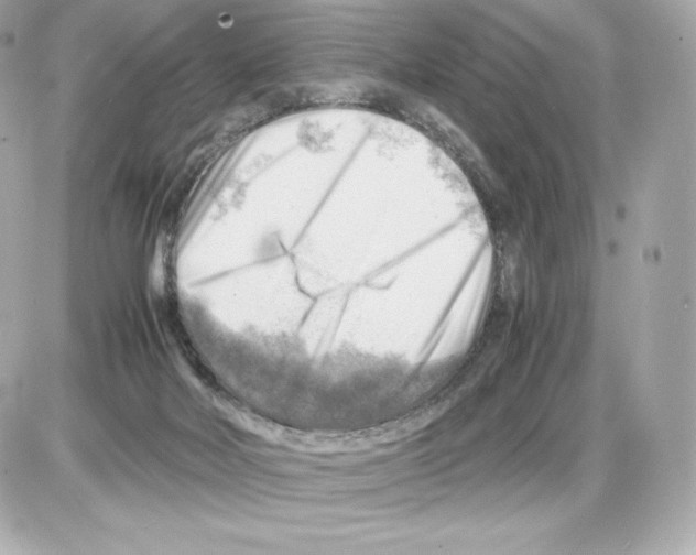 X0000085290026200704092244
