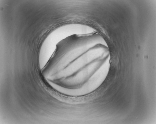 X0000085290027200704092244