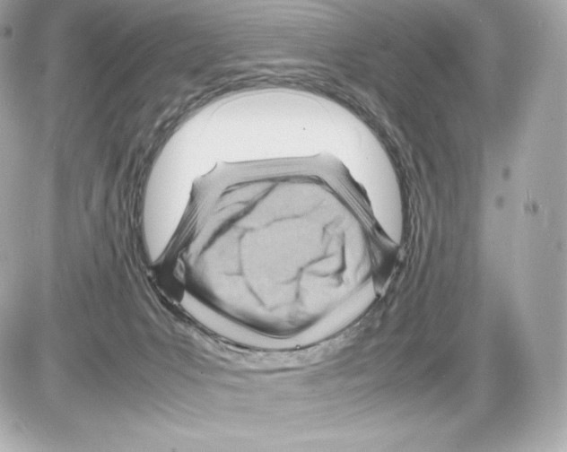 X0000085290031200704092243