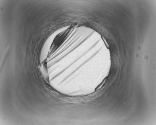 X0000085290033200704092243