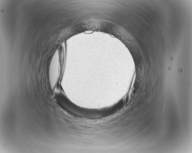 X0000085290037200704092243