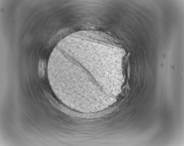 X0000085290038200704092243