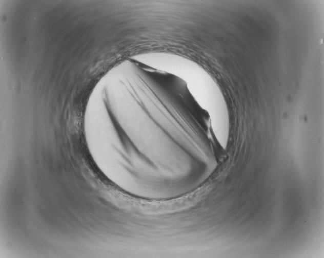 X0000085290039200704092243