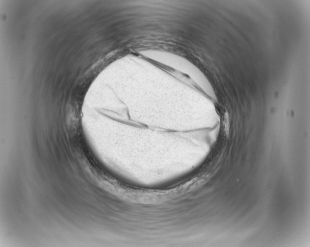 X0000085290040200704092243