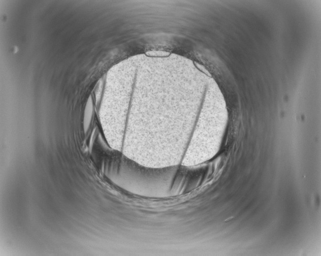 X0000085290041200704092243