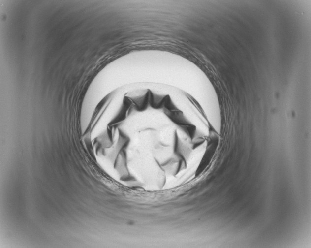 X0000085290045200704092243